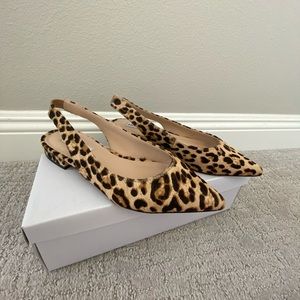 Steve Madden leopard mule
